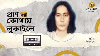 প্রাণ বন্ধু কোথায় লুকাইলে - বাউল শফিকুন নূর