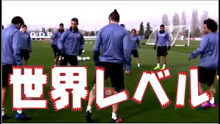 【鳥かご】世界レベルの鳥かご【サッカー】