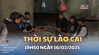 Thời sự Lào Cai 19h50 (16/02/2025) | THLC