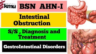Intestinal Obstruction Nursing | Bowel Obstruction  In Urdu | AHN-I 3rd Sem | KMU BSN and Paramedics