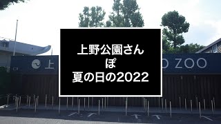 上野公園さんぽ　夏の日の2022