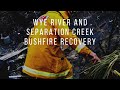 Wye River Great Ocean Road Community Bush fire Recovery and Regeneration after the 2015 Fires