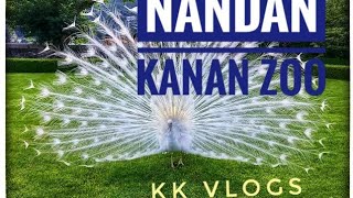 A beautiful white peacock Nandankanan Zoo BBSR ,it's very amazing! My First Vlog