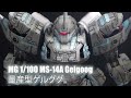 MG 1/100 MS-14A Gelgoog - Custom Build(量産型ゲルググ)