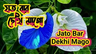 যত বার দেখি মাগো তোমায় আমি ll Jato Bar Dekhi Mago Tomay Ami ll Lata Mangeskar ll Toofan