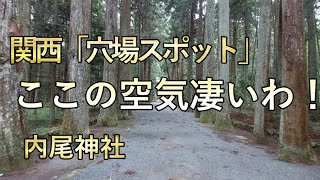 内尾神社の神域から出る波動と空気と千日行法。財運を祈る。初夏にはヒメボタルの乱舞