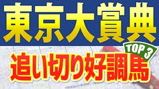 東京大賞典（2024）追い切りが抜群だった「トップ3」はこの馬だ🐴 ～競馬予想シュミレーション～