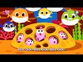 baby shark more and more dance along compilation doo doo doo pinkfong official