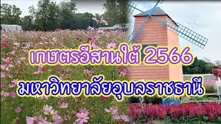 ชมงานเกษตรอีสานใต้ 2566 มหาวิทยาลัยอุบลราชธานี