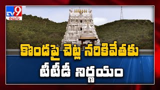 Tirumala : అకేషియా చెట్ల నరికివేతకు TTD నిర్ణయం - TV9