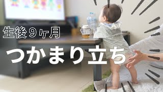 つかまり立ち練習と成功の一部始終！【生後９ヶ月】赤ちゃんの成長記録