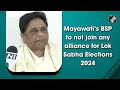 mayawati s bold decision for 2024 lok sabha elections wil fight alone