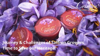 Kashmiri Saffron | Journey \u0026 Challenges of Saffron Growers | Time to Save our Heritage