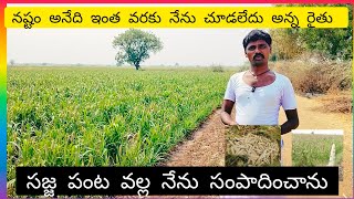 రైతు నష్టపోకుండ తక్కువ పెట్టుబడి,ఎక్కువ ఆదాయం సజ్జ పంట#former #food #raitu #trending #kurnool #viral