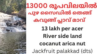 13000 രൂപ വിലയിൽ പുഴ സൈഡിൽ തെങ്ങ് കവുങ്ങ് പാലക്കാട്‌ ജില്ല #lowbudjet #riverside #palakkad #cocanut