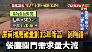 屏東黑鮪捕獲量創13年新高 遇疫情銷不出去－民視新聞