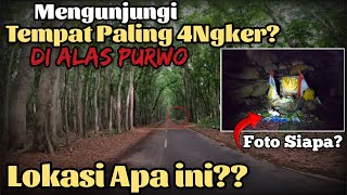 Ternyata ini Alasan dilarang Menoleh kebelakang di Alas Purwo Suasana Hening Hutan Tertua Pulau Jawa