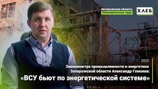 Замминистра промышленности и энергетики Запорожской области Александр Гомонов