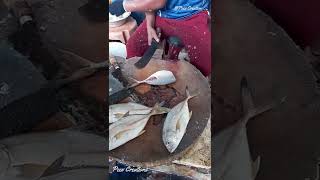 Paarai fish cutting / Fish Cutting Videos