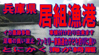 #137兵庫県居組漁港とにかく海が綺麗E9山陰近畿自動車道無料区間道の駅山陰海岸ジオパーク浜坂の郷足場の良い波止車横付け釣り出来ます波止が低いので安全ファミリー家族連れサビキ釣りに良い石積波止が良い