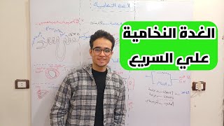 ⬅️الخلاصة لاصه☄...هنلم الغدة النخامية تفصيلة تفصيلة في اقل من 20د❤😎