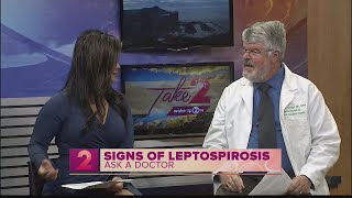 Ask a Doctor: Leptospirosis