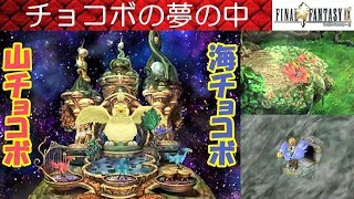 FF9攻略#35『山チョコボ／海チョコボ／チョコボの入り江Chocobo's Lagoon』ファイナルファンタジー9｜FINAL FANTASY IX｜MIZUKENミズケン