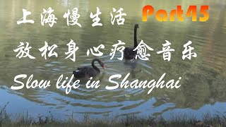 上海慢生活，放松身心疗愈音乐，Part45,Slow life in Shanghai,wonderful relaxing music,sleep music，beautiful flowers