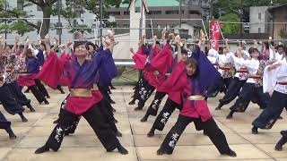 APUよっしゃ虎威 黒崎よさこい祭り2019