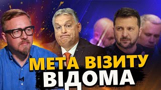 ТІЗЕНГАУЗЕН: Хто ВІДПРАВИВ Орбана до Києва? Україну ЗМУСЯТЬ погодитись на \