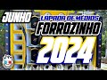 forrozinho 2024 repertÓrio atualizado 2024 cd novo 2024 seleÇÃo 2024 nordeste piseiro forrozin