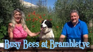 Busy Bees at Brambletye Restoring and Living in Abruzzo Italy Ep 17