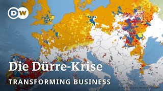 Wie können wir verhindern, dass die Landwirtschaft austrocknet? | Transformation der Wirtschaft