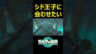 シド王子の元に魔物を連れて行こうとするとwwwww【ゼルダの伝説ティアーズオブザキングダム】#shorts