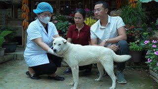 Tuans strange behavior aroused Uris serious suspicions about both Tuan and his own mother.