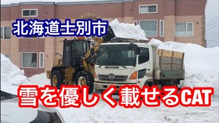 ホイールローダーの除雪 CAT910Kによる積み込み作業