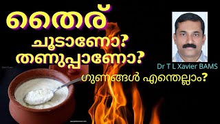 തൈര് ചൂടാണോ? തണുപ്പണോ? | Actions Uses and Contra Indications of Curd | Dr T L Xavier | Ayurvedam