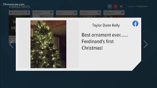 13News Now viewers share their Christmas trees with us!