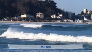 [강여대]겨울바다의 서퍼들과 갈매기 (feat.영하15도 한파주의보)