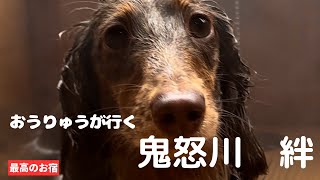 【犬と泊まれるお宿/鬼怒川　絆】に愛犬と宿泊！至れり尽くせりで犬も飼い主も大満足！おすすめの最高のお宿！