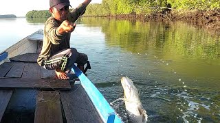 SAMBARAN BARRAMUNDI DITEMPAT INI