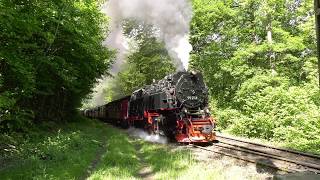 Unterwegs auf schmaler Spur in 4k