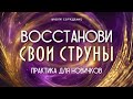 Восстанови свои струны! Практика для новичков #Весталия  #школаСорадение