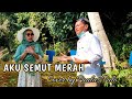 AKU SEMUT MERAH COVER BY PAULUS PULO | CIPT. ENDANG RAE