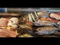 えっ こんな所で開店前から大行列の魚屋さんの朝に密着 how to prepare large fish