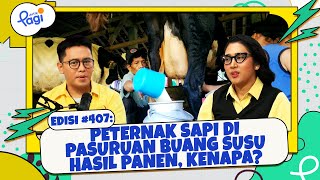 Peternak Sapi di Pasuruan Buang Susu Hasil Panen, Kenapa?