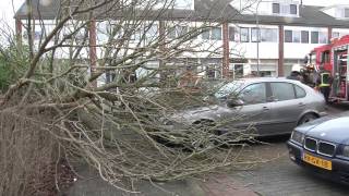 Hoogezand - Boom valt op geparkeerde auto's