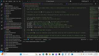 Python Papi / Smart Contracts - Moccasin Fundamentals setup - Day 1