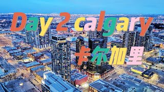 Day 2 卡尔加里沉浸式旅游 | One Day in Calgary | Calgary Tower