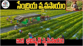 సేంద్రియ వ్యవసాయం | Organic Farming Success Story || Organic Farming || Business Tree